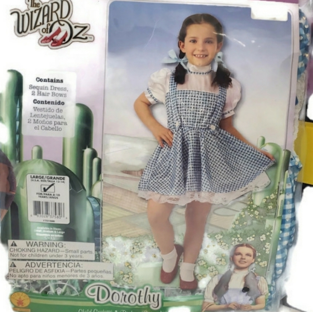 Dorothy From The Wizard Of Oz Girls Halloween Costume Sz 4-6
